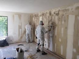 Best Water Damage & Mold Remediation  in , WV